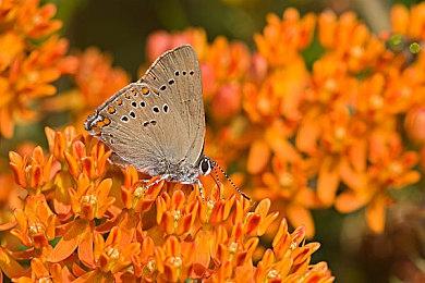 《毁灭战士》生父约翰·罗梅罗新作《SIGIL II》11月3日预购